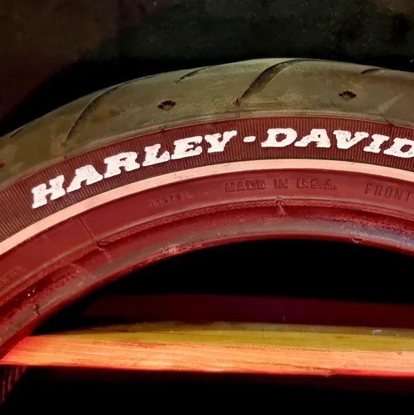 MANCAVE-Regal-White Ring Harley-3